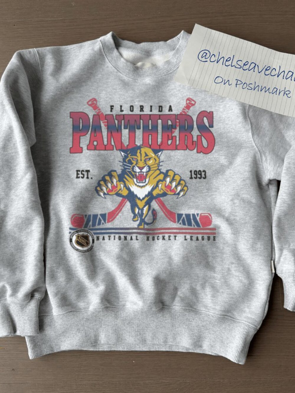 Vintage Florida Panthers Hockey Sweatshirt, Retro Florida Panthers NHL Shirt Tee